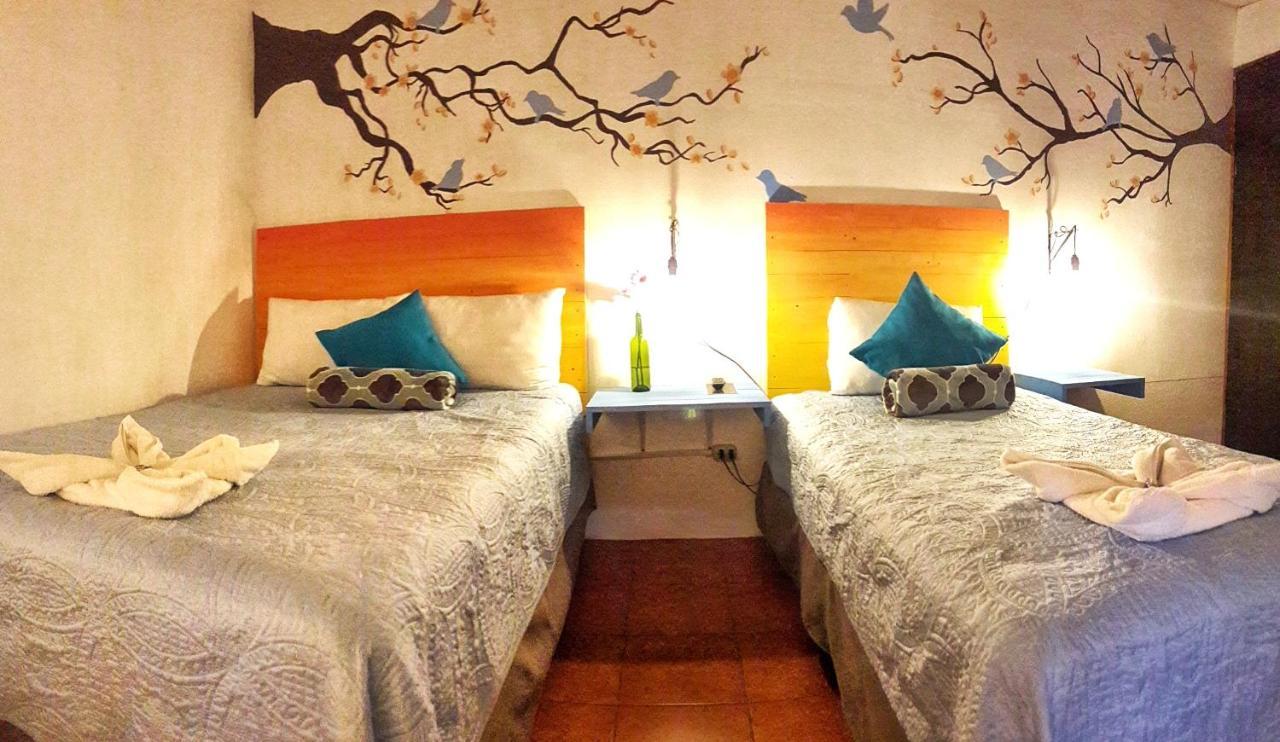 Hotel Y Arte Norte Antigua Extérieur photo